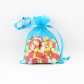 4in. x 5in. Turquoise Sheer Organza Pouch (12)
